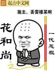 花和尚之一代恶棍