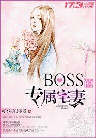 BOSS的专属宅妻